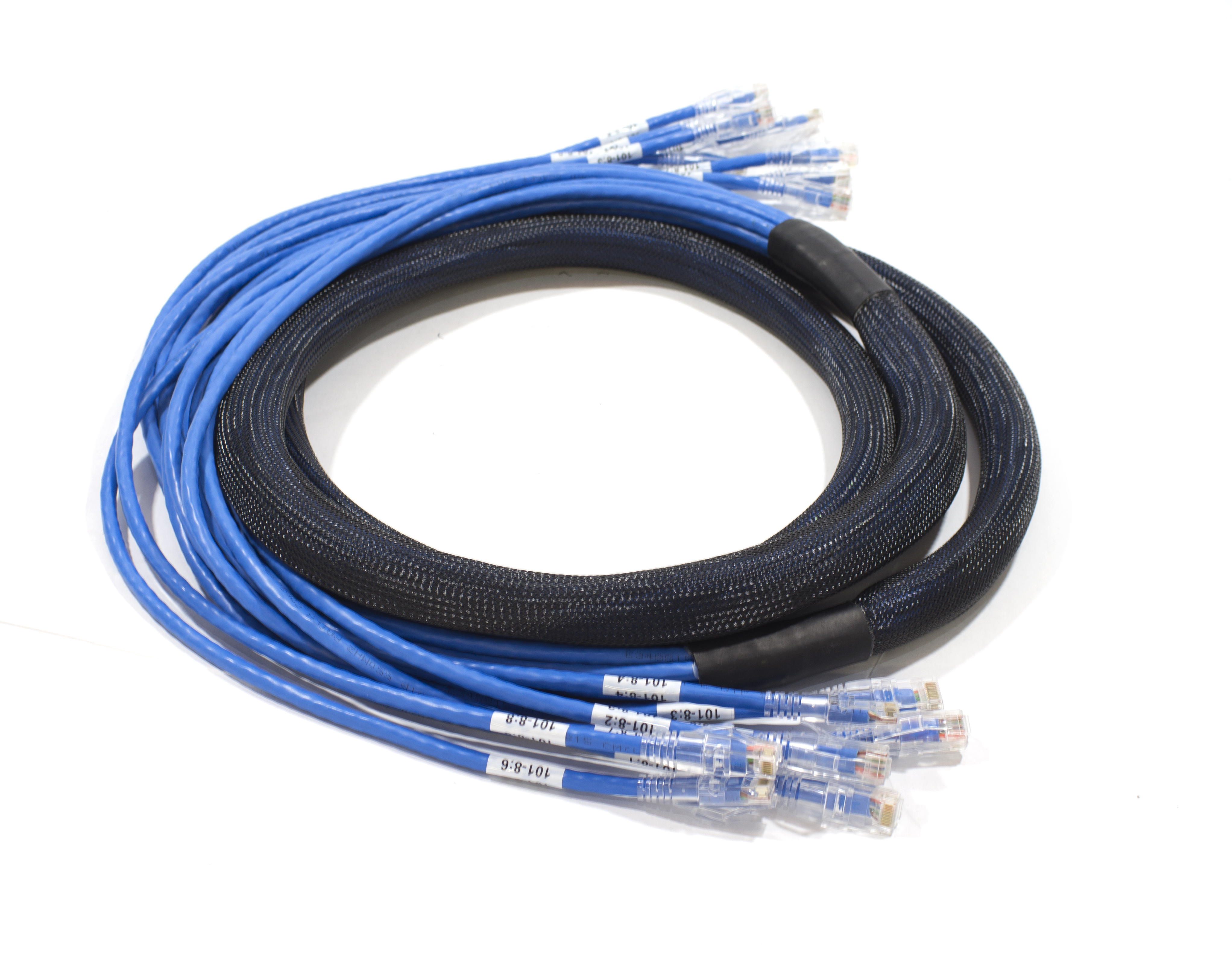 Custom Cat6 Cable Bundle