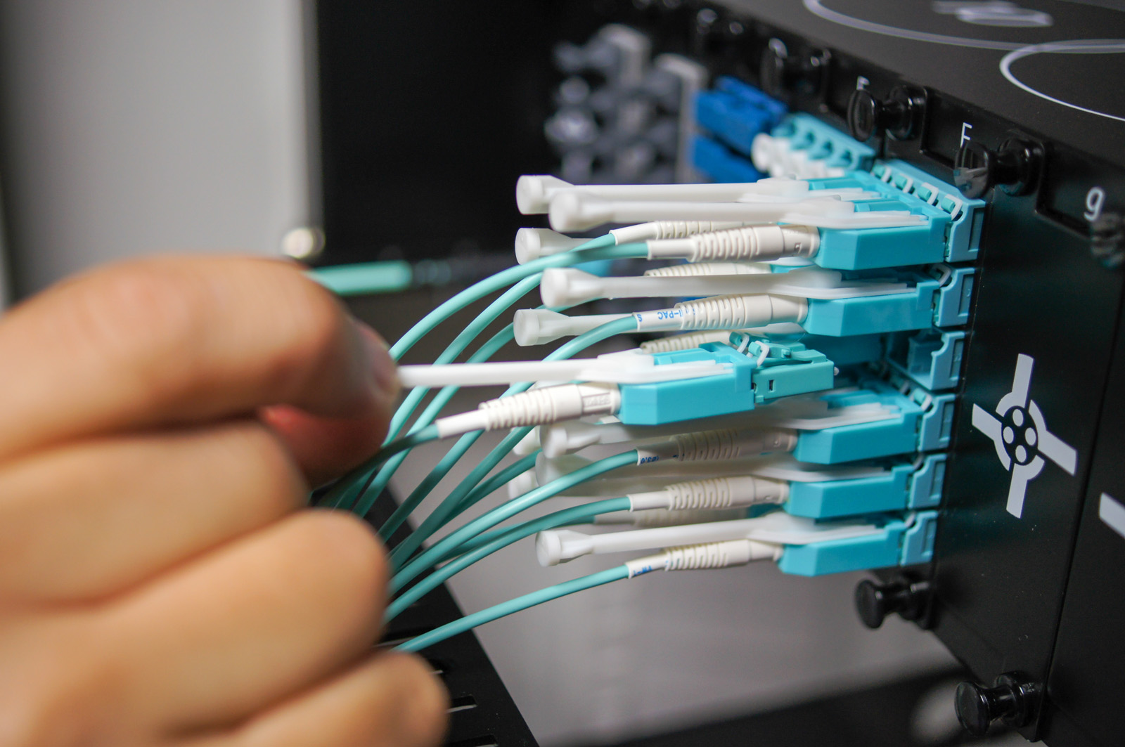 EVO Patch Panels — photo 15